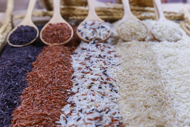 Varieties of Thai Rice at Ken's Mart